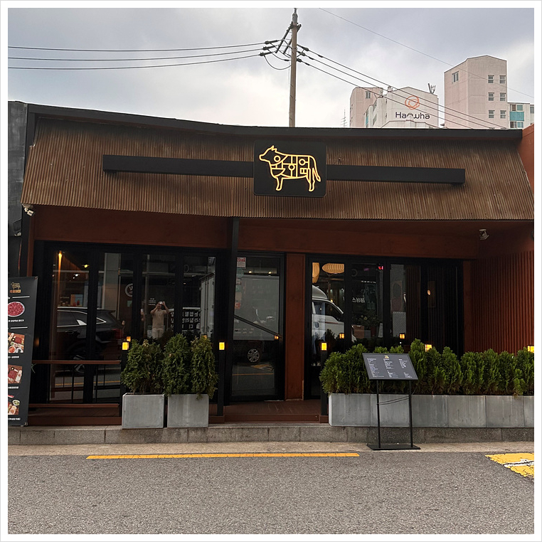 육회어때 이미지