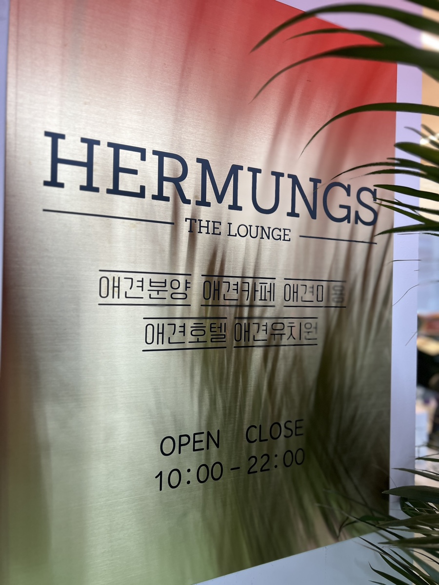 강남 애견카페 에르멍스더라운지 루프탑 운동장 후기 — 사진 4
