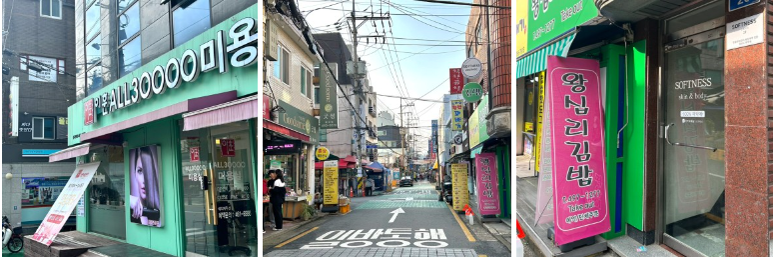 소프니스 이미지