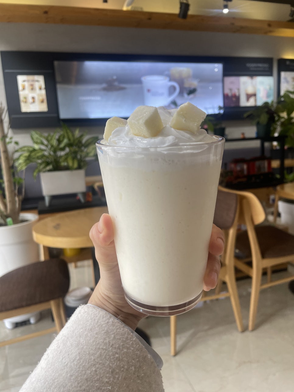 요거프레소대전 이미지