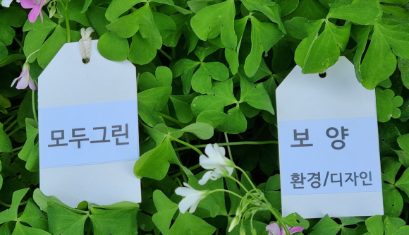 그린환경디자인 이미지