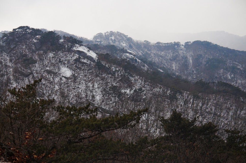 개미인력 이미지