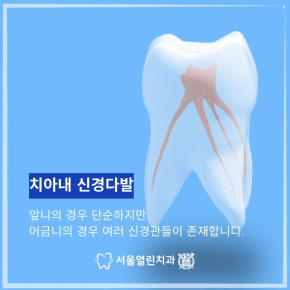 서울우수치과의원 이미지
