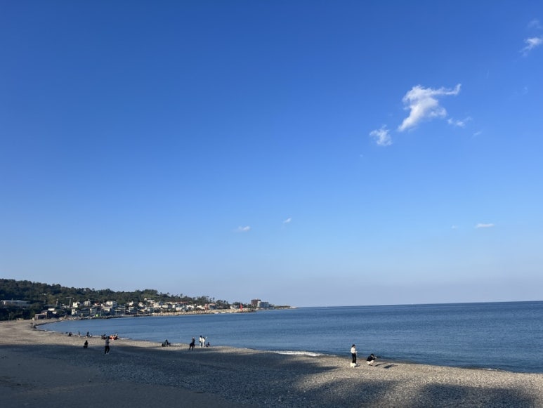 새천년운수 이미지