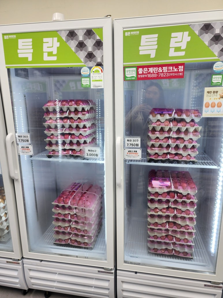 계란마을 이미지