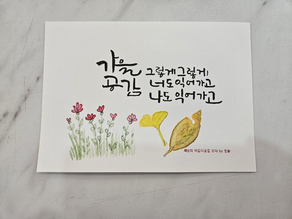 한국캘리그라피디자인센터 이미지