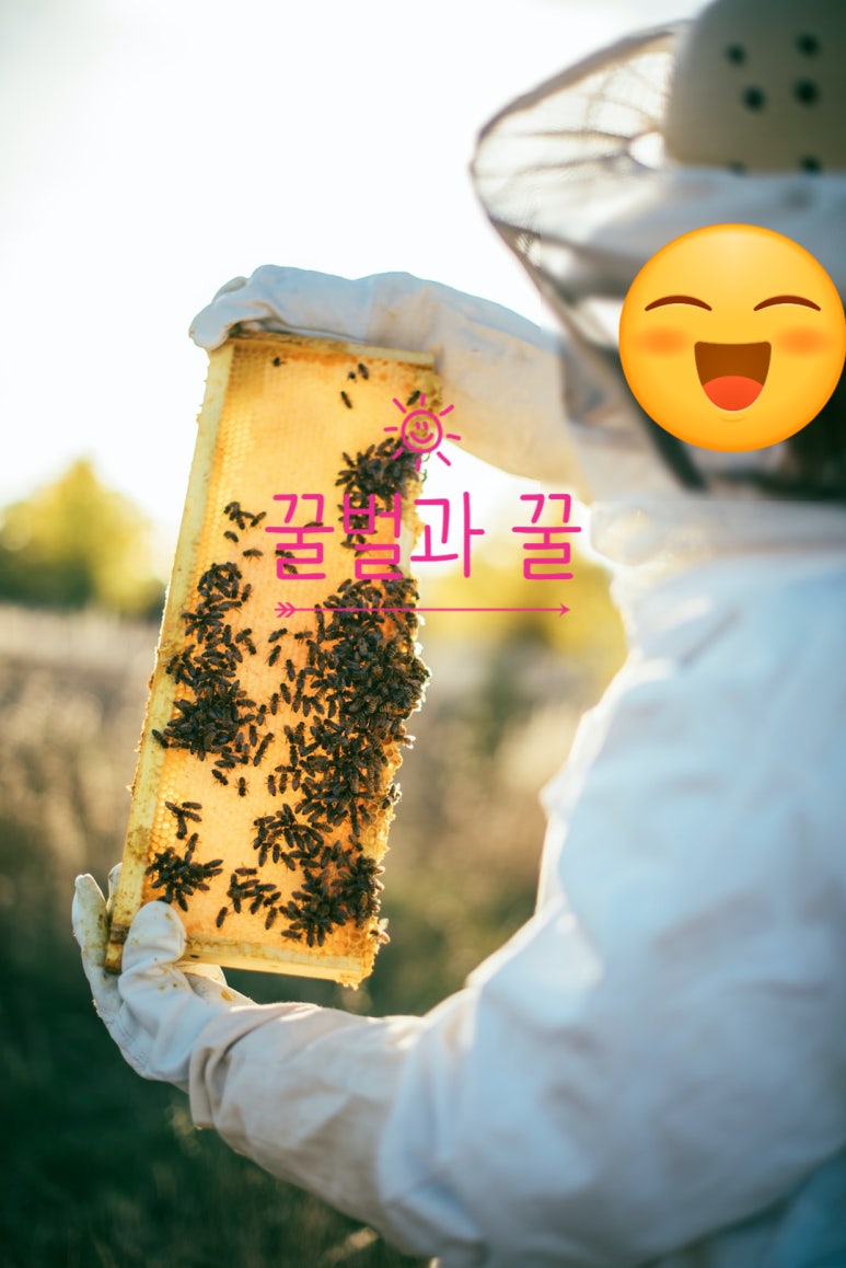 네츄럴100허니카페 이미지