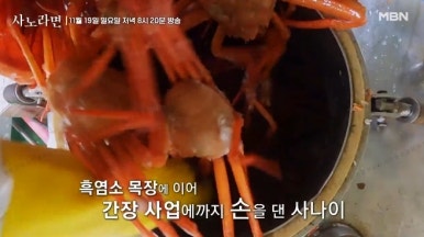 울릉도식품 이미지