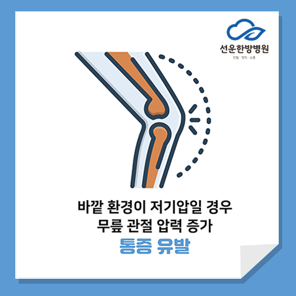 선운한방병원 이미지