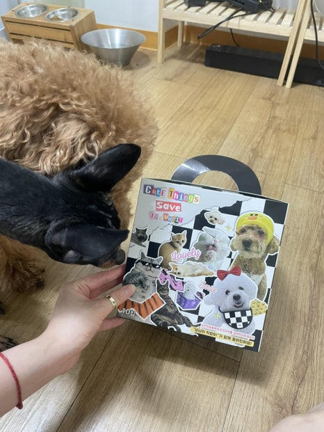 예대신선횟집 이미지