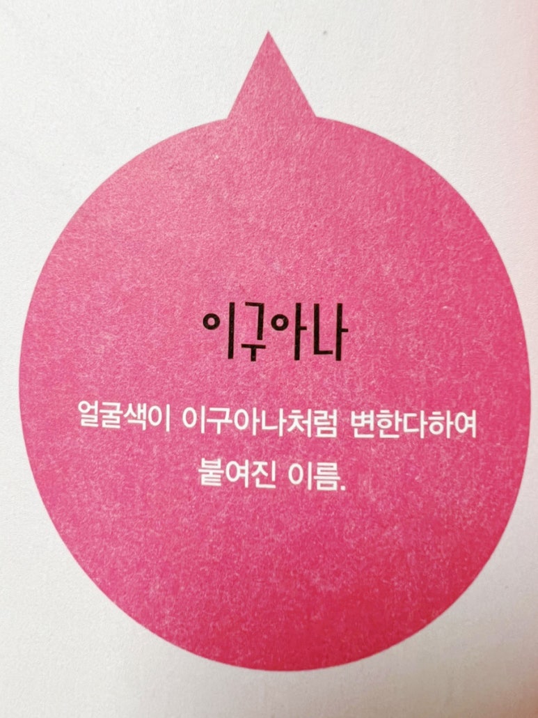더문폴&댄스 이미지
