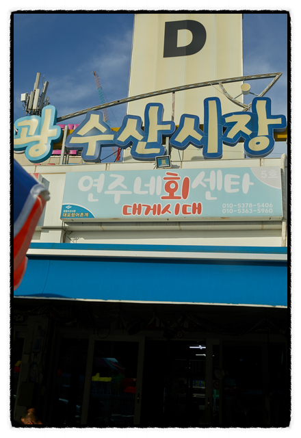 연주네 이미지