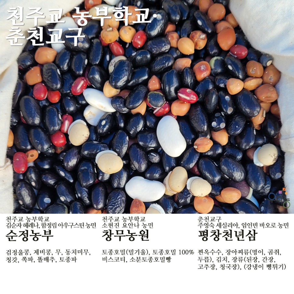 평창천년삼 이미지