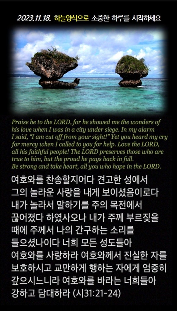 세상구경여행사 이미지