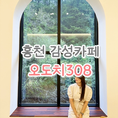 오도치308 이미지