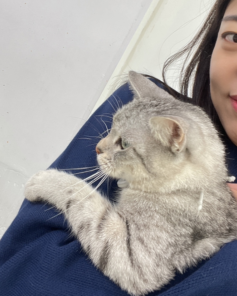 큐브애견미용학원 이미지