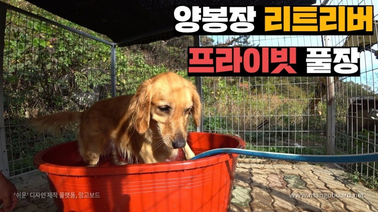 초원복국 이미지