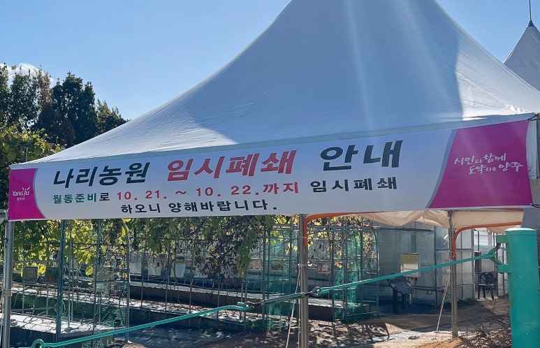 대주베이커리 이미지