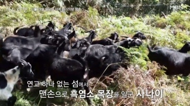 울릉도식품 이미지