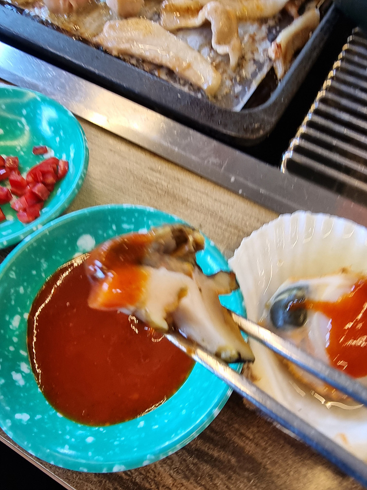 바다나무 이미지