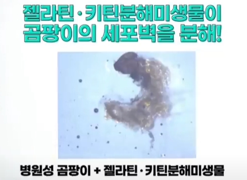 (주)지씨엠 이미지