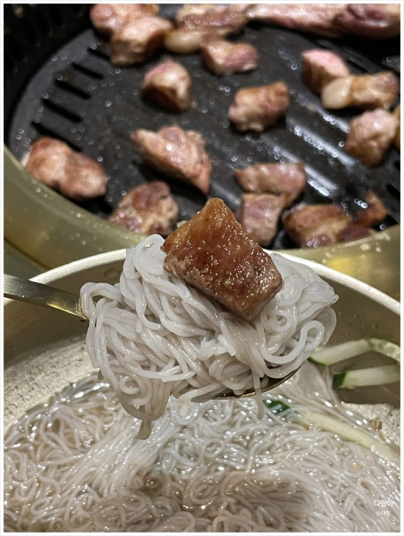신도세기 이미지