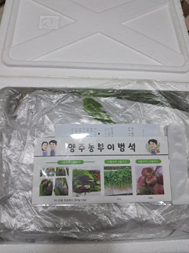 샐러드박스양주 이미지