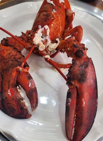 통큰동호네 이미지