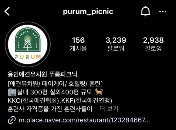 푸름피크닉 이미지