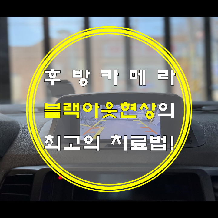 카썸크루 이미지