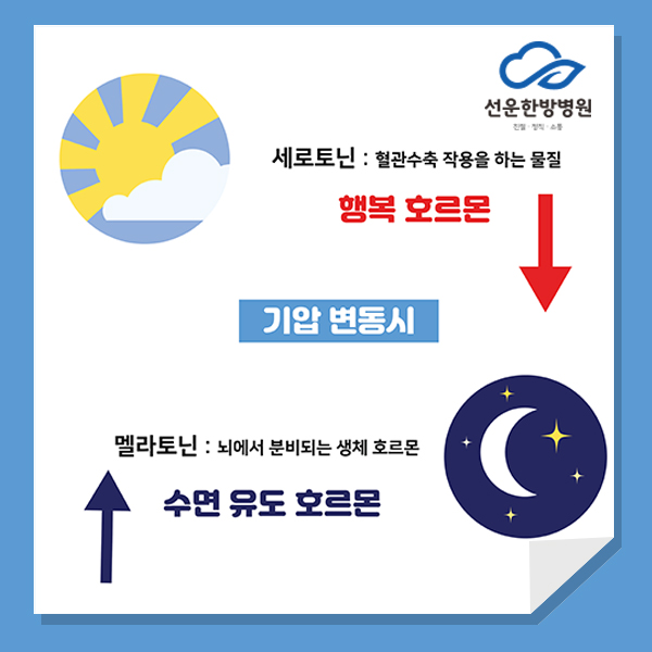 선운한방병원 이미지