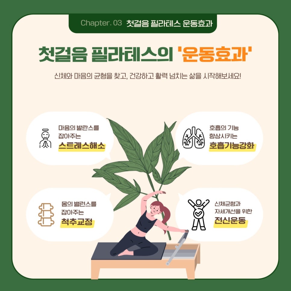 솔아로마 이미지