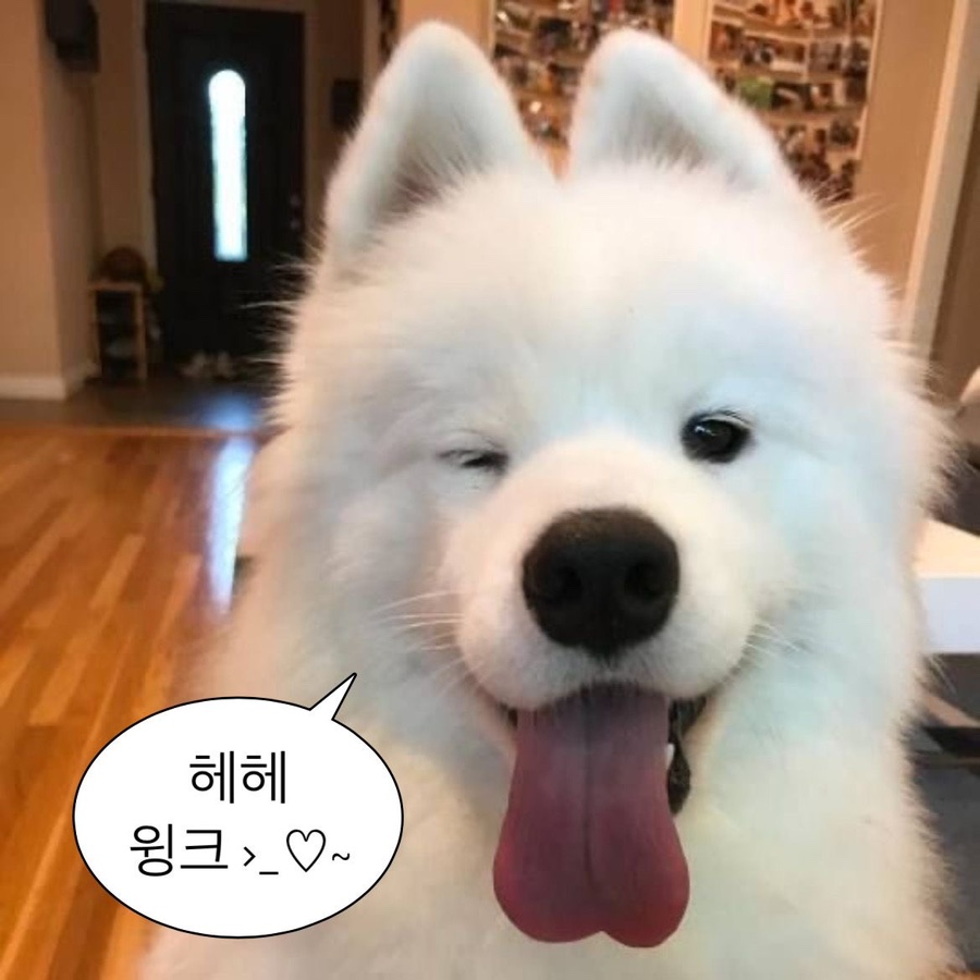 진천쌀빵 미잠미과(하남 미사직영점) 이미지