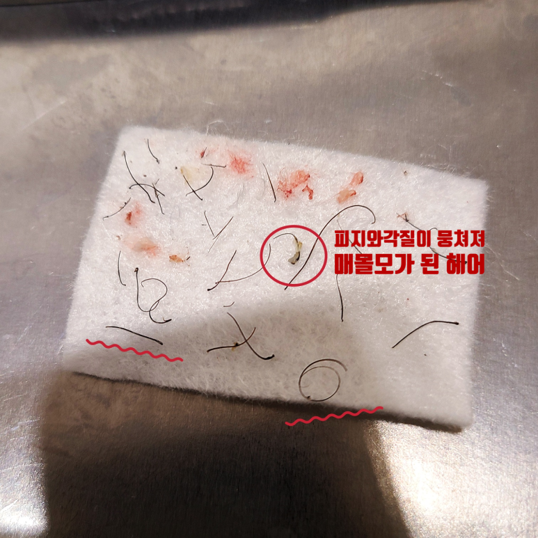 강릉헤어모드 이미지