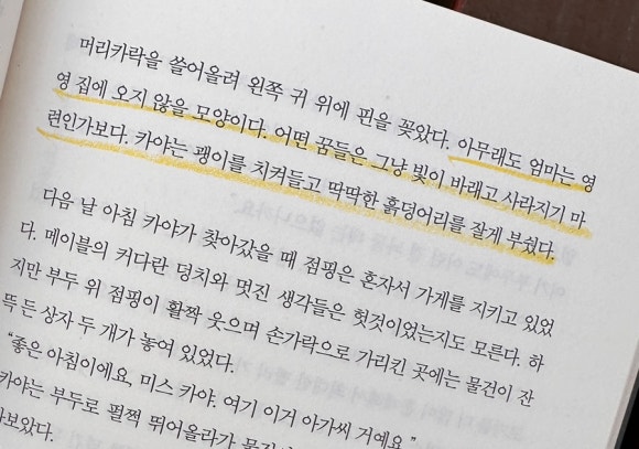 델리아 이미지