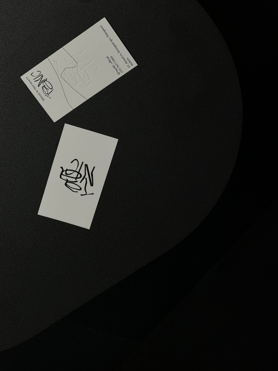 타닉(TaaNIC) 이미지