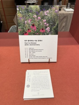 커피마테르 이미지