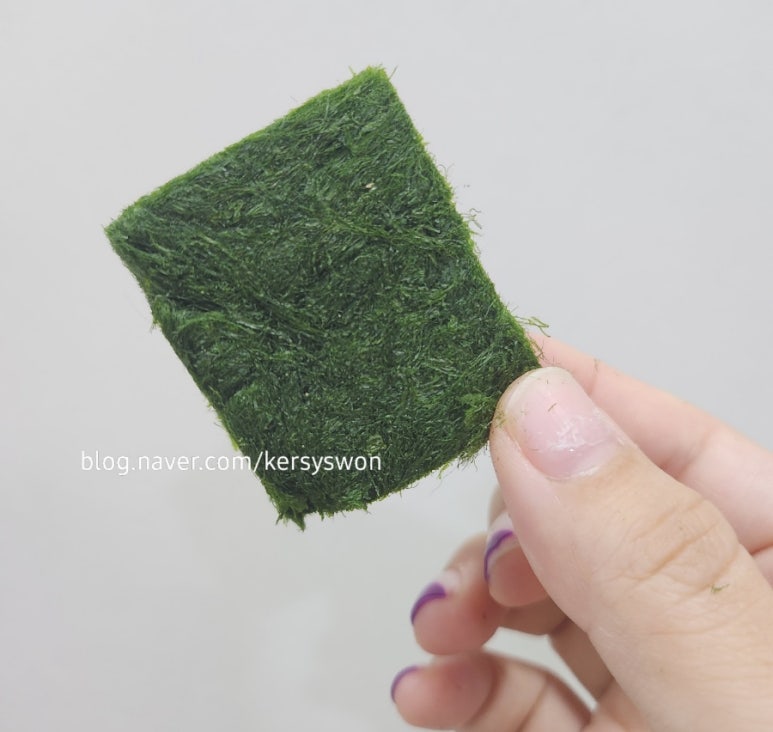 천일제면 이미지
