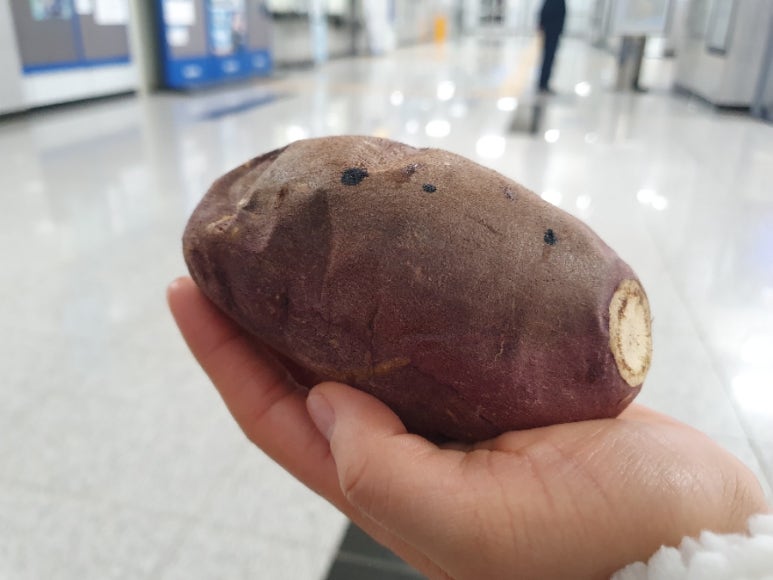 호박공주 이미지