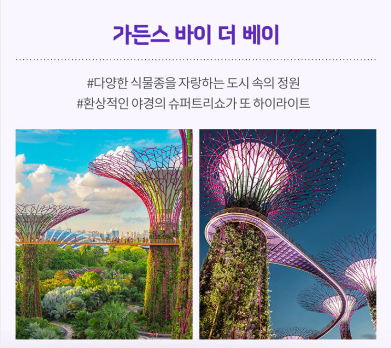 전일관광 이미지