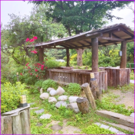 천만애능이백숙 이미지