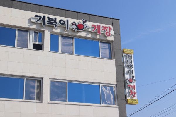 거북이 몰 이미지