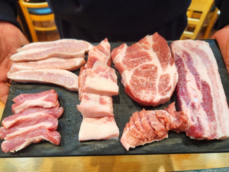 그레이스돈뭉치 이미지