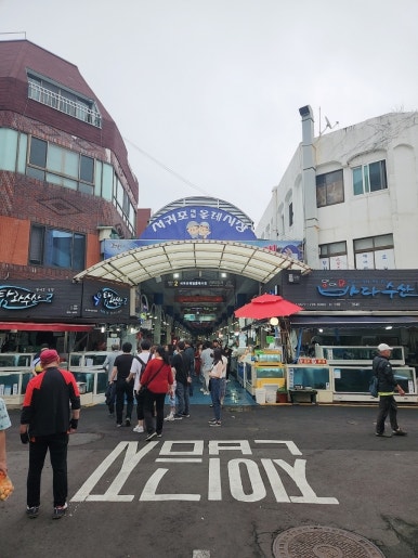 올래청과 이미지
