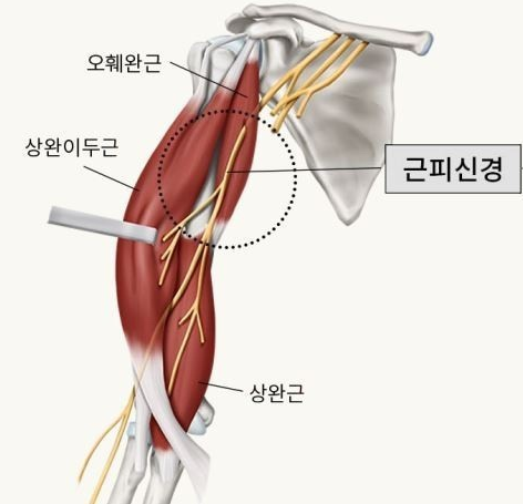 슈트짐 이미지