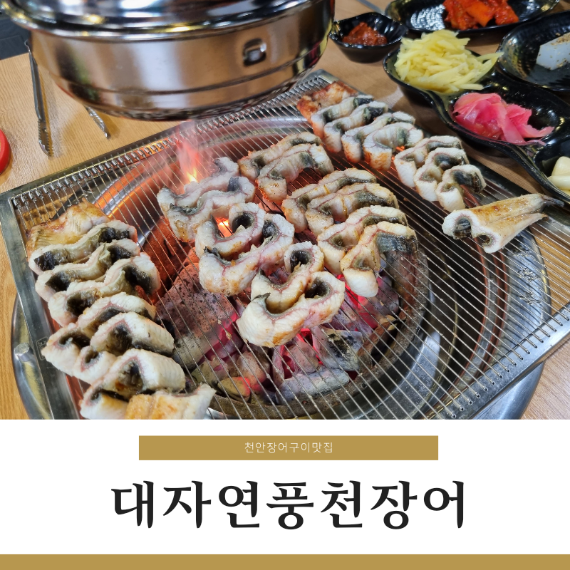 대자연풍천장어 이미지