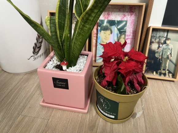 수페그린협동조합 이미지