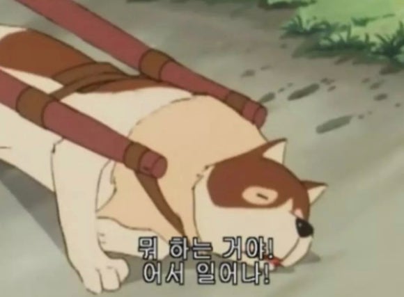 공원원조집 이미지