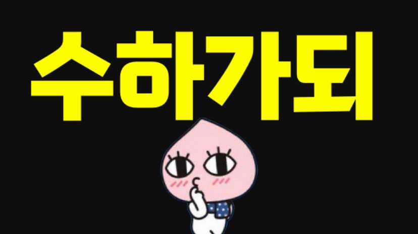 엔커넥트 이미지