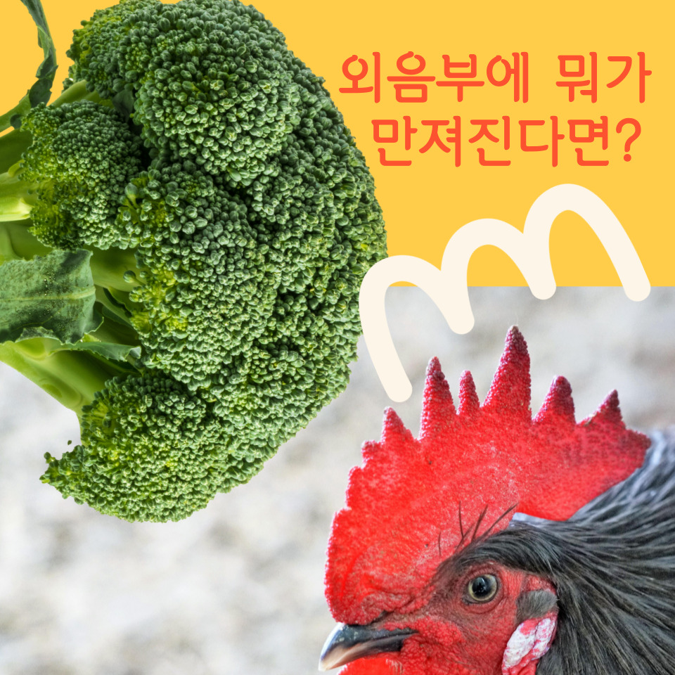 율산부인과의원 이미지